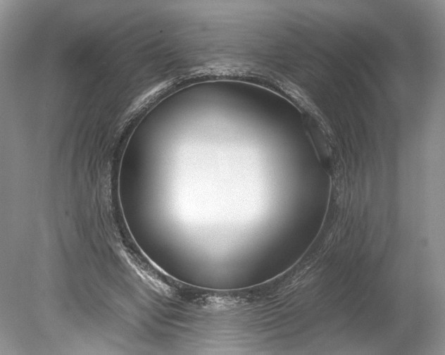 X0000078880442200611271331