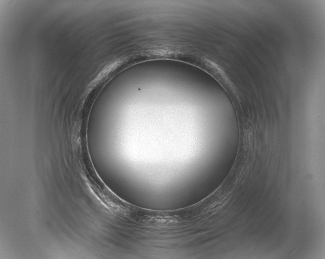 X0000078880443200611271331