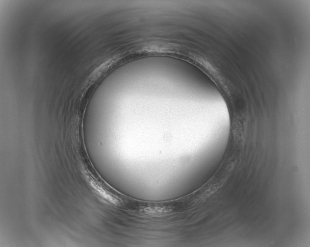 X0000078880445200611271331