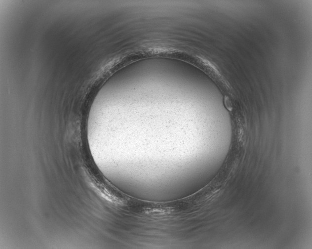 X0000078880447200611271331