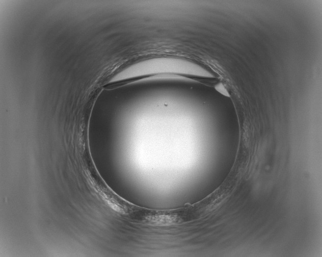 X0000078880449200611271331