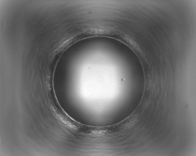X0000078880450200611271331