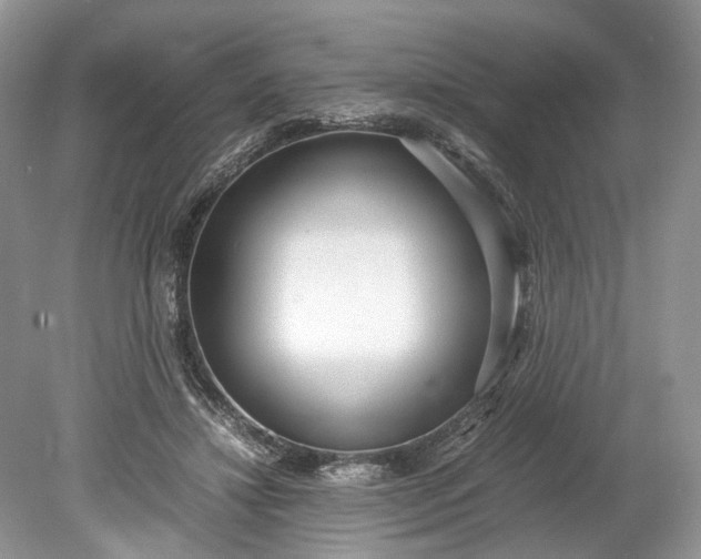 X0000078880452200611271331