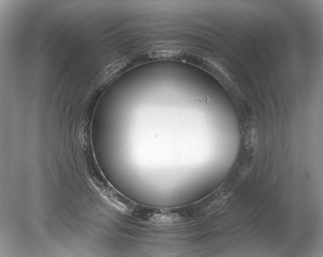 X0000078880455200611271331