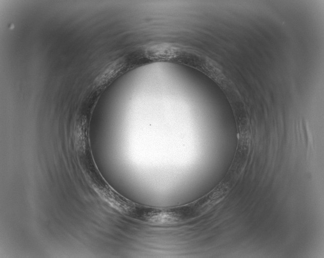 X0000078880460200611271331