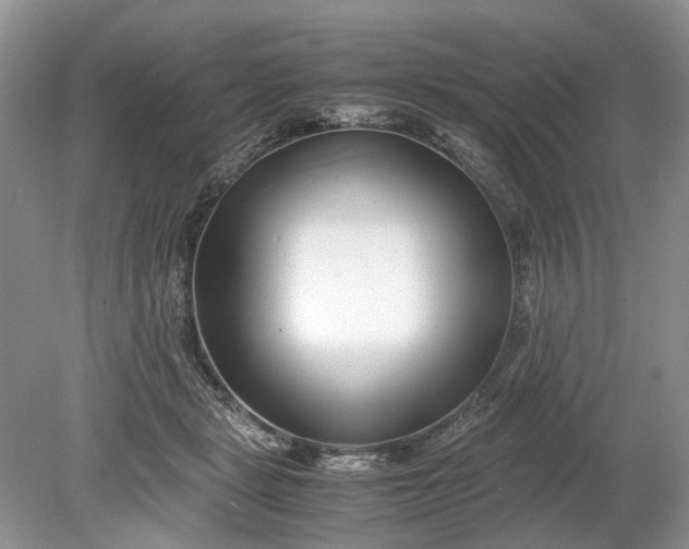 X0000078880461200611271331