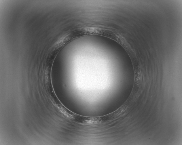 X0000078880466200611271331