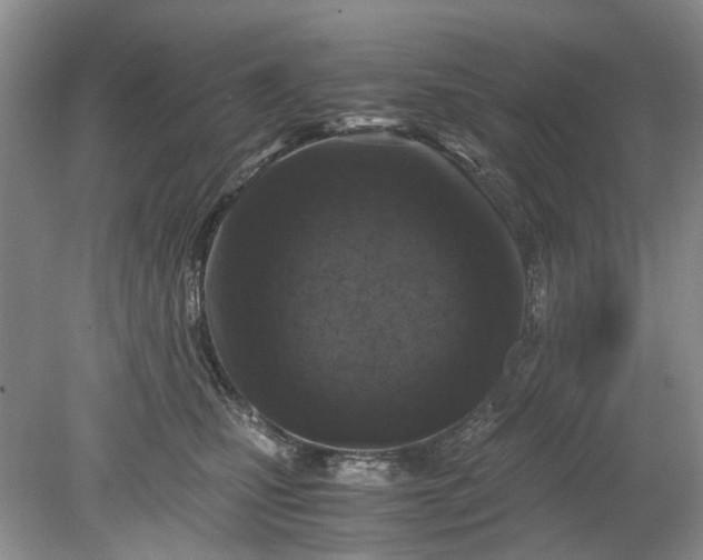 X0000078880471200611271331
