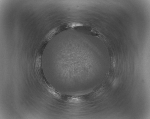 X0000078880475200611271331