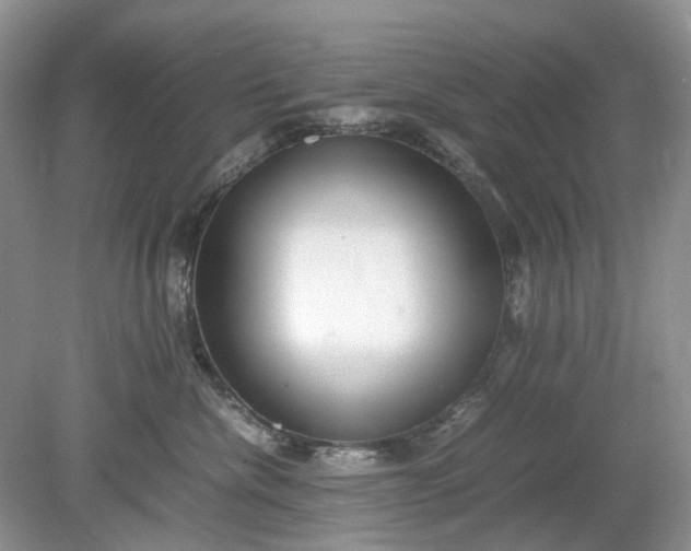 X0000078880476200611271331