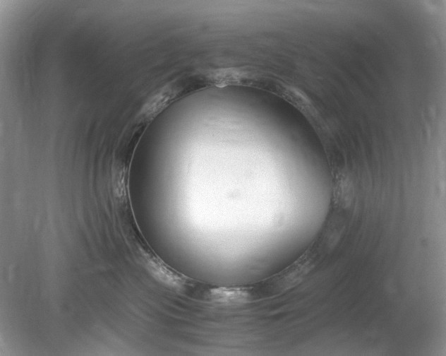 X0000078880477200611271331