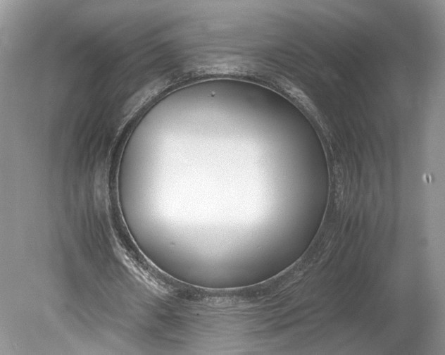 X0000078880482200611271331