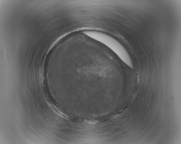 X0000078880484200611271331