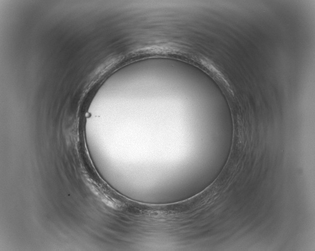 X0000078880486200611271331