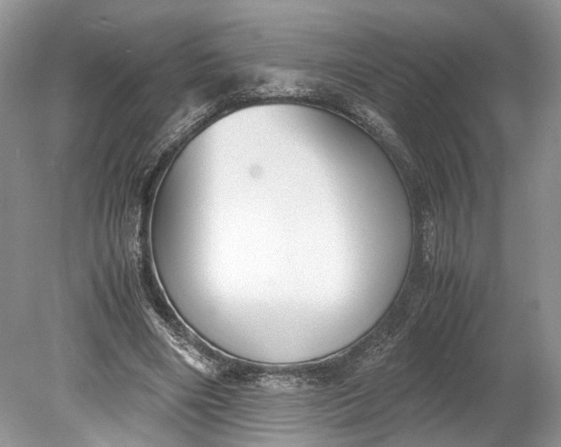 X0000078880490200611271331