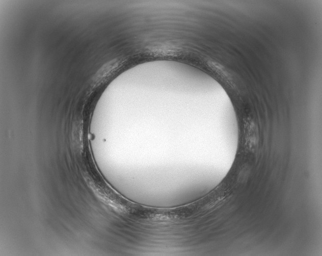 X0000078880494200611271330