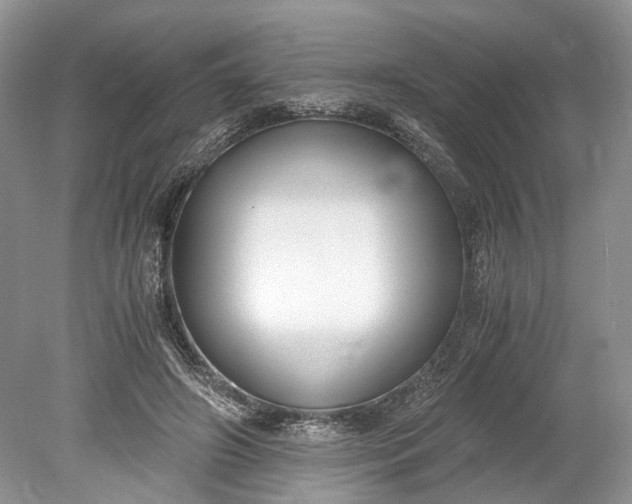 X0000078880498200611271330