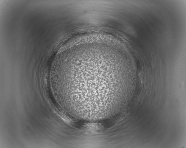 X0000078880499200611271330