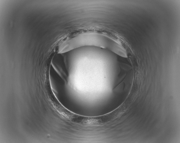 X0000078880501200611271330