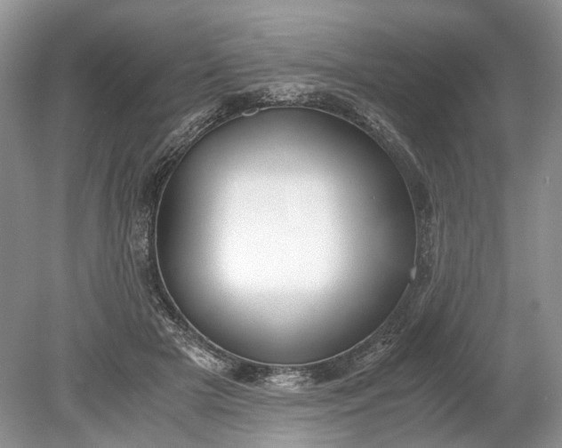 X0000078880505200611271330