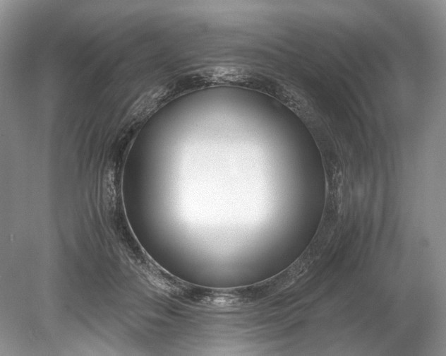 X0000078880506200611271330