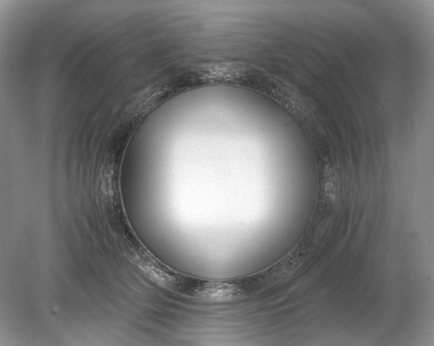 X0000078880514200611271330
