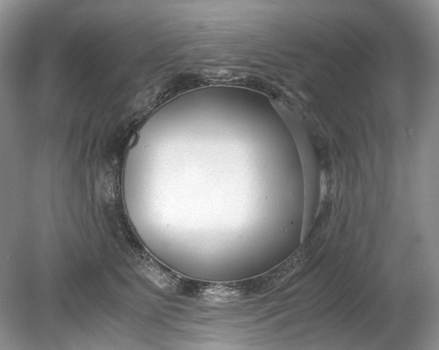 X0000078880515200611271330