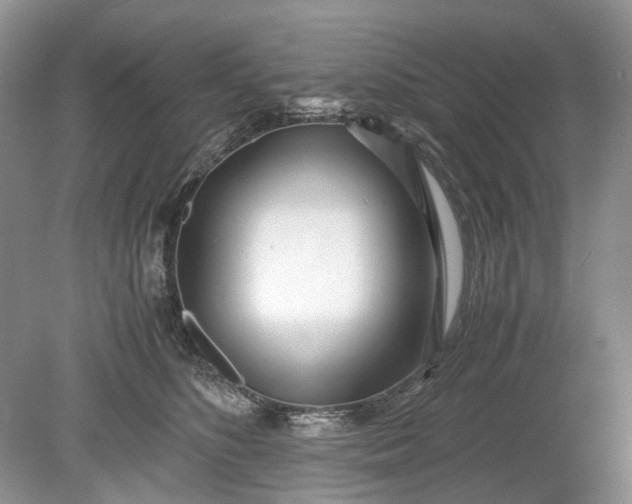 X0000078880516200611271330