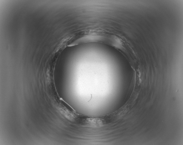 X0000078880520200611271330