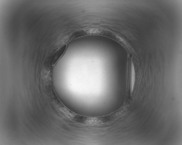 X0000078880521200611271330