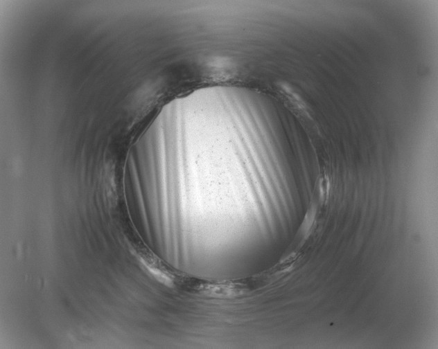 X0000078880524200611271330