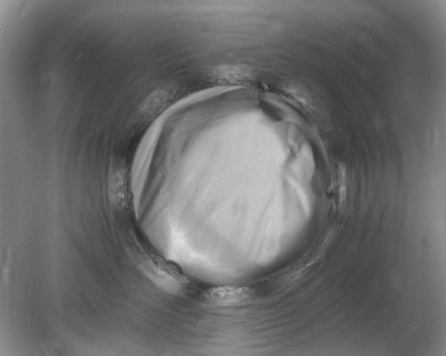 X0000078880526200611271330