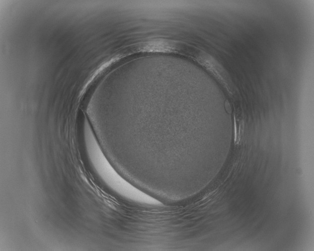 X0000078880531200611271329