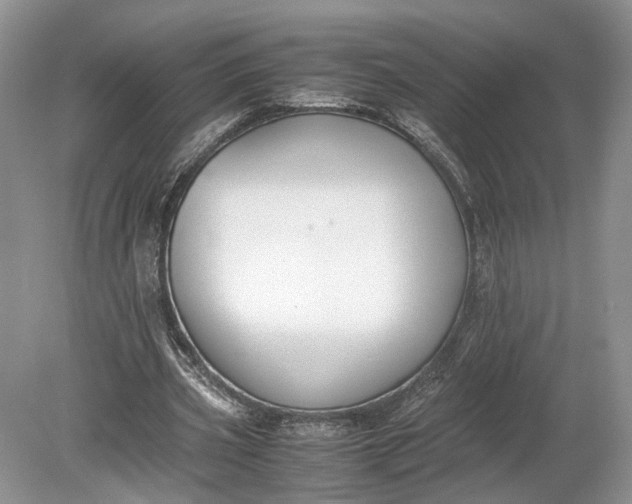 X0000078880533200611271329