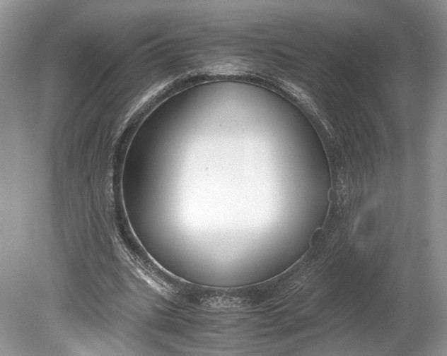 X0000078880535200611271329