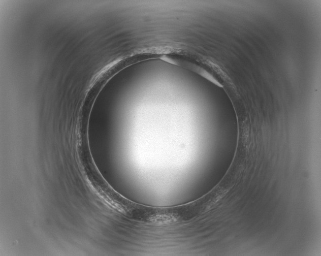 X0000078880536200611271329