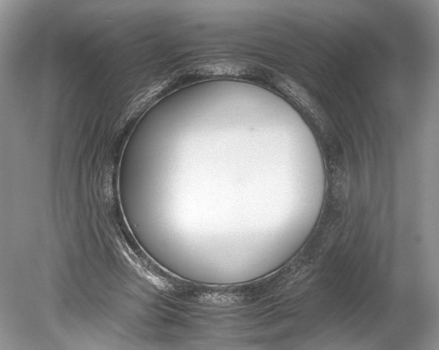 X0000078880537200611271329