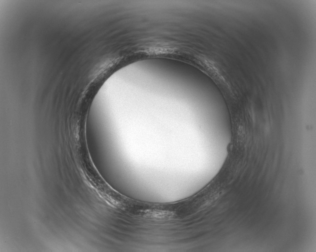 X0000078880539200611271329