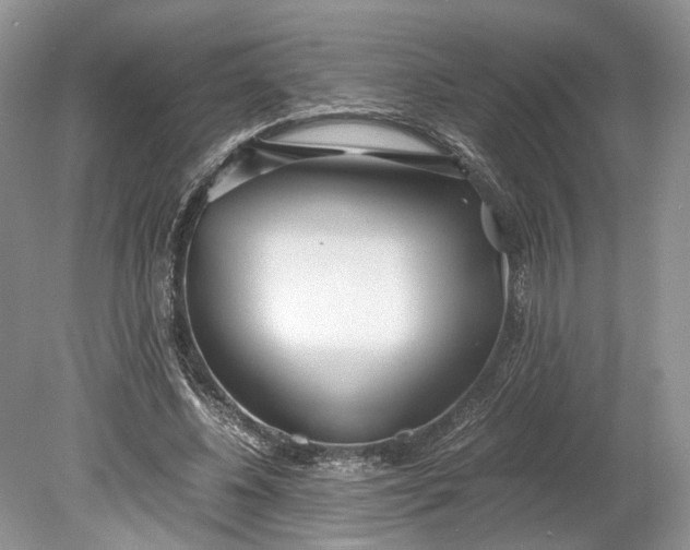 X0000078880540200611271329