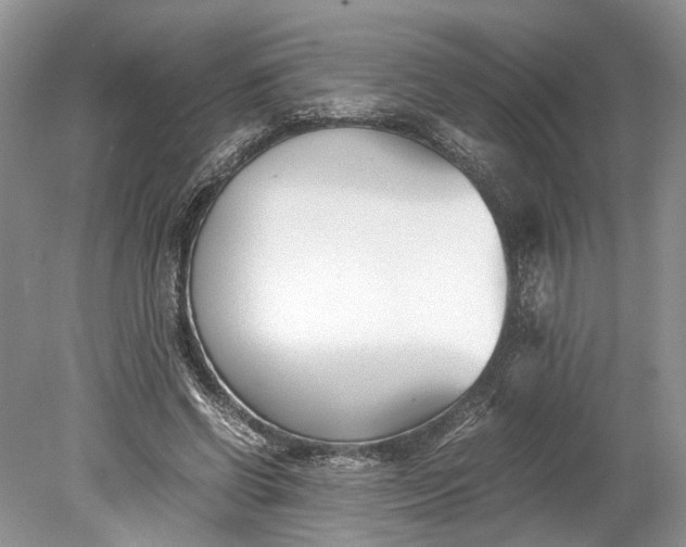 X0000078880542200611271329