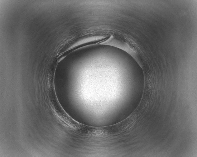 X0000078880546200611271329