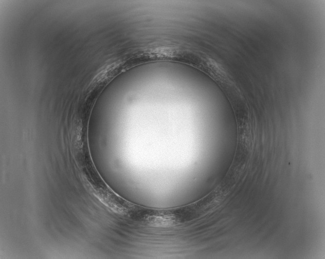 X0000078880548200611271329
