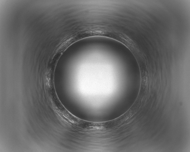 X0000078880552200611271329