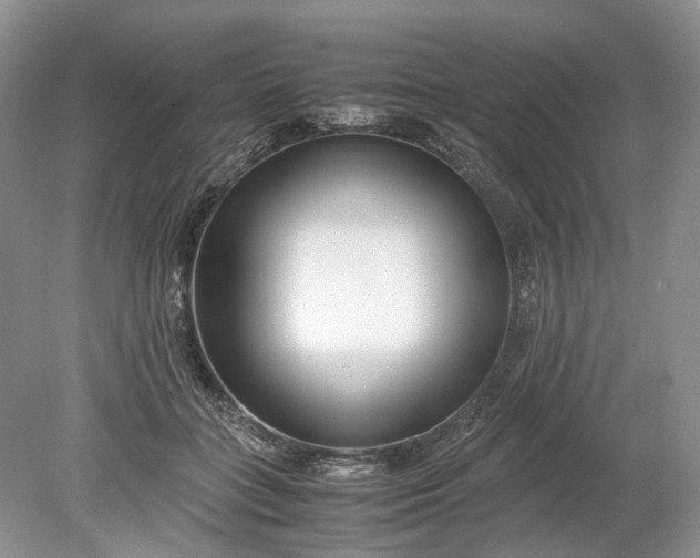 X0000078880555200611271330