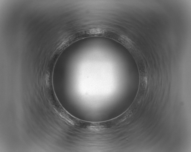 X0000078880556200611271330