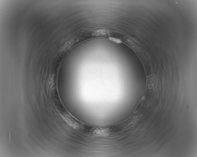 X0000078880560200611271330