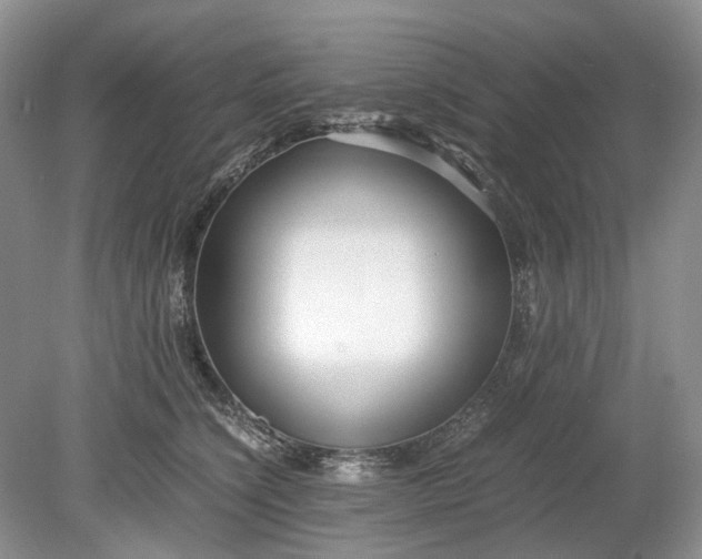 X0000078880564200611271330