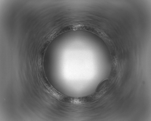 X0000078880565200611271330