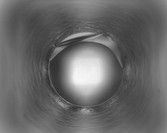X0000078880566200611271330