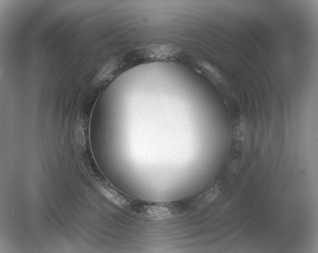 X0000078880572200611271330